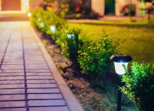 Home Decor and Garden