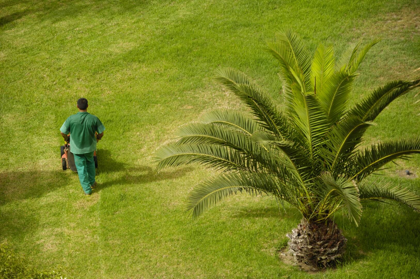 Certified Arborist Chesterfield MO